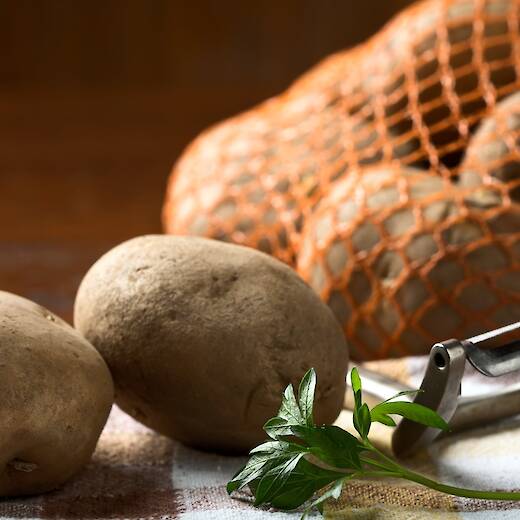 Fresh Russet Potatoes on a table top beside a bag of potatoes.