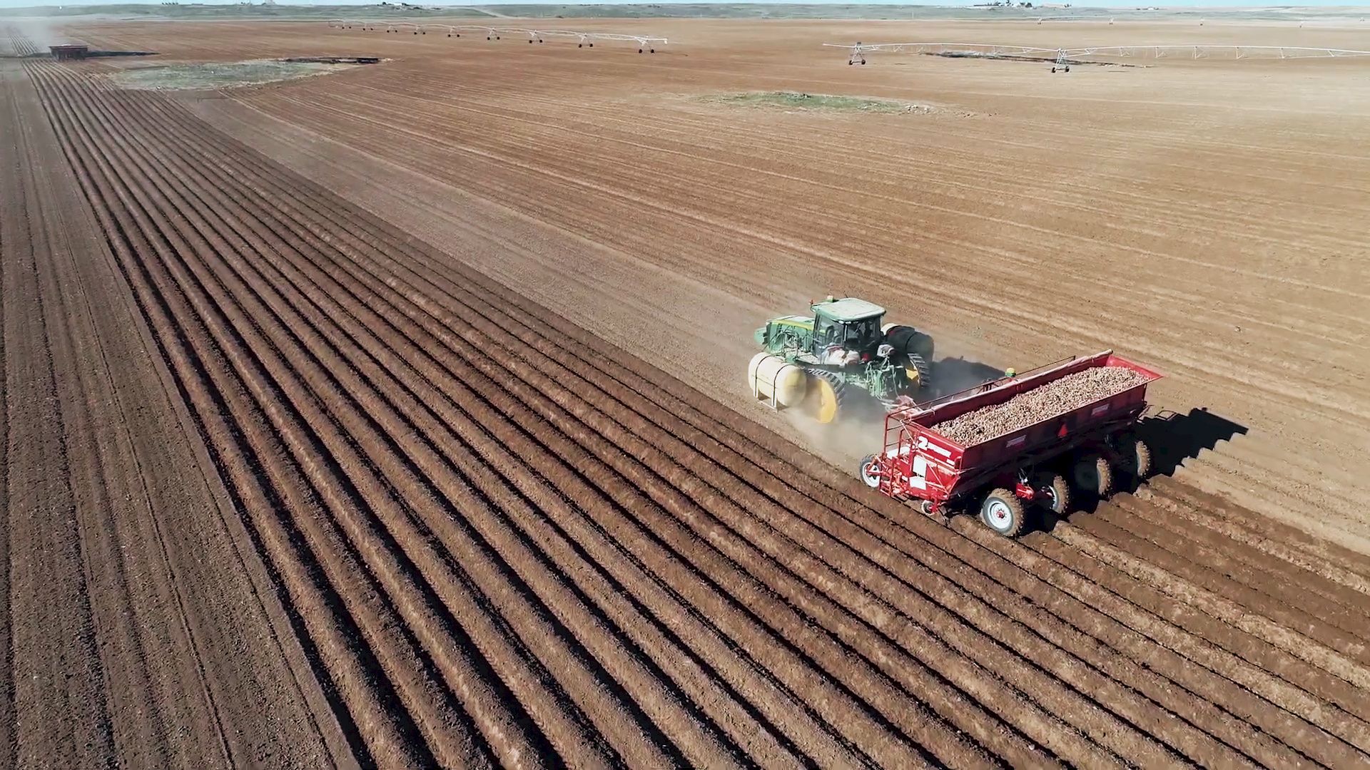 A tractor seeding potatoes.